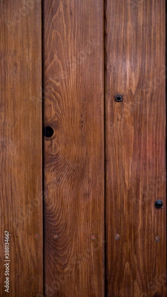 Obraz Wood door background, vertical texture, brown material