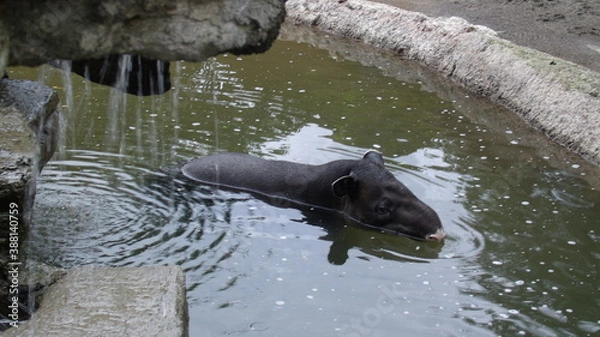 Obraz GEDSC DIGITAL CAMERA