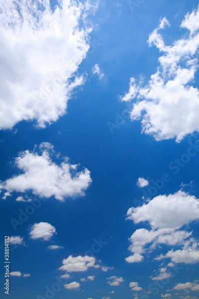 Fototapeta 青空と雲