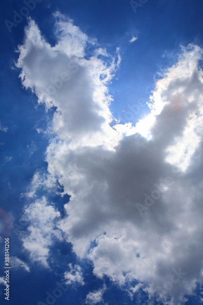 Fototapeta 青空と雲