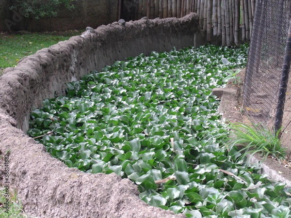 Obraz GEDSC DIGITAL CAMERA.