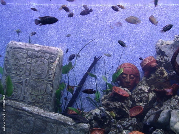 Obraz GEDSC DIGITAL CAMERA.