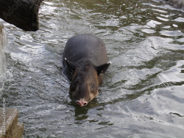 Obraz GEDSC DIGITAL CAMERA.