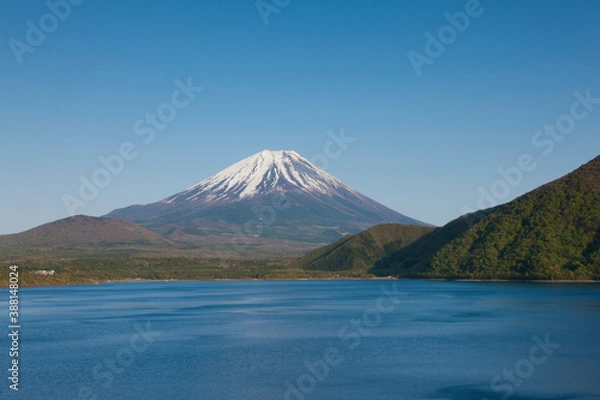 Fototapeta 5月の本栖湖と富士山