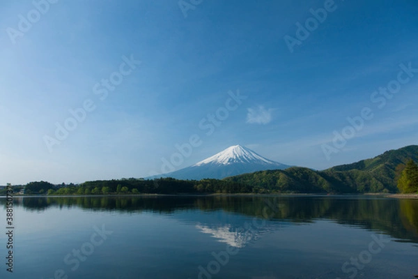 Fototapeta 河口湖と富士山
