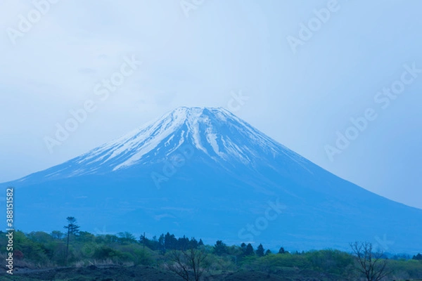 Fototapeta 朝霧高原からの富士山