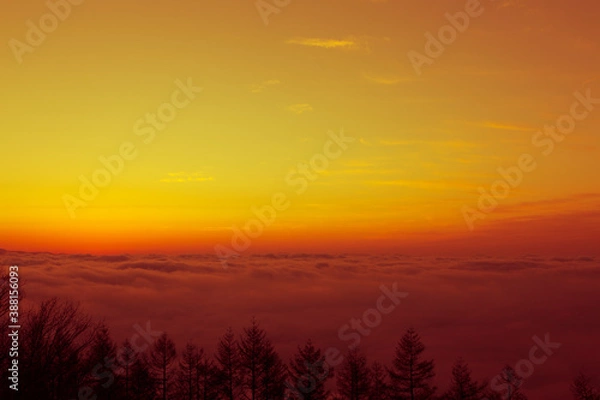 Fototapeta 夜明けの雲海