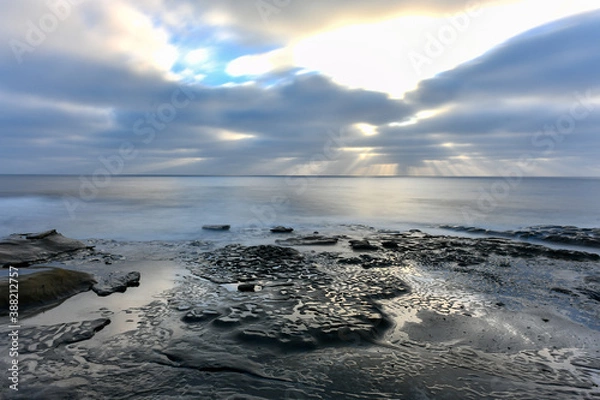 Obraz Tide Pools - La Jolla