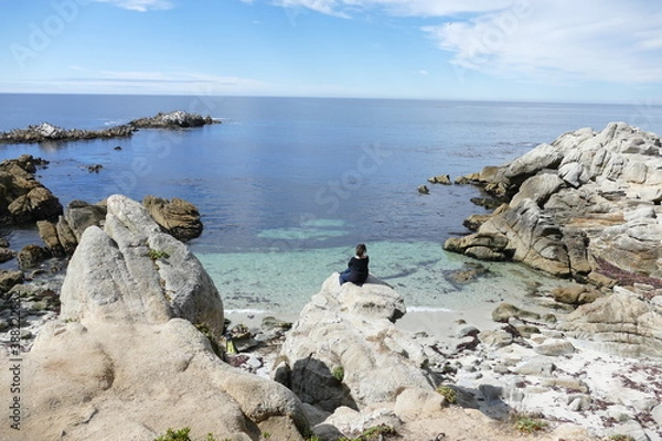 Obraz Watching the waves