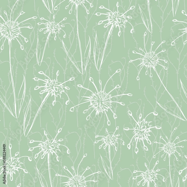 Fototapeta Wildflower Seamless Pattern