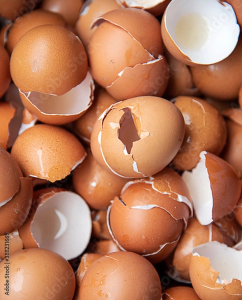 Fototapeta Eggs Shell background - Shell of an Eggs