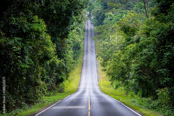 Obraz Straight road in countryside surrounding by green trees.