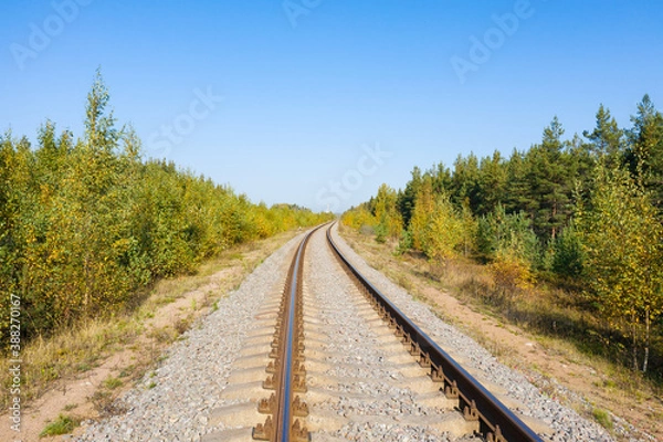Fototapeta Railway through autumn forest. Aerial view