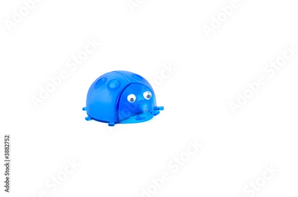 Fototapeta blue pointsetter in shape of a ladybug