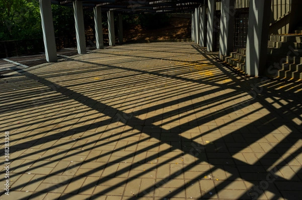 Obraz shadows from a ceiling