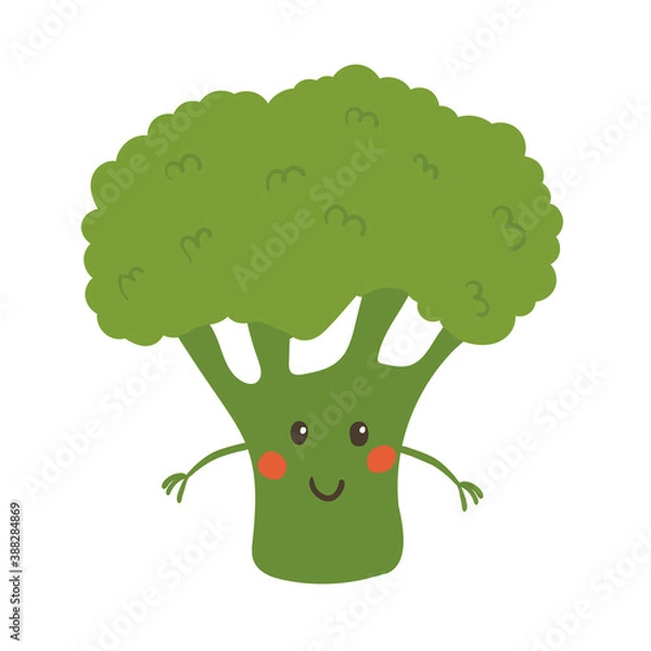 Obraz Cute broccoli character Vector isolated on white 