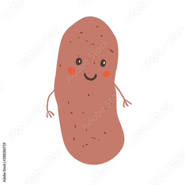 Obraz Cute potato character Vector isolated on white 