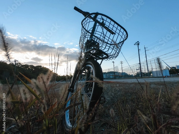 Obraz bicycle in the field