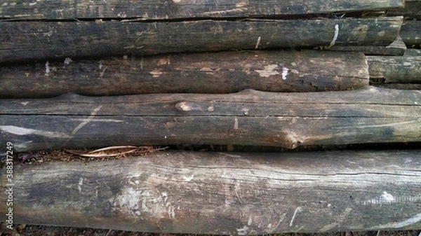 Obraz Wood, wood texture, wood photography, light brown, dark brown, bark.