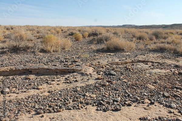 Obraz desert lanscape