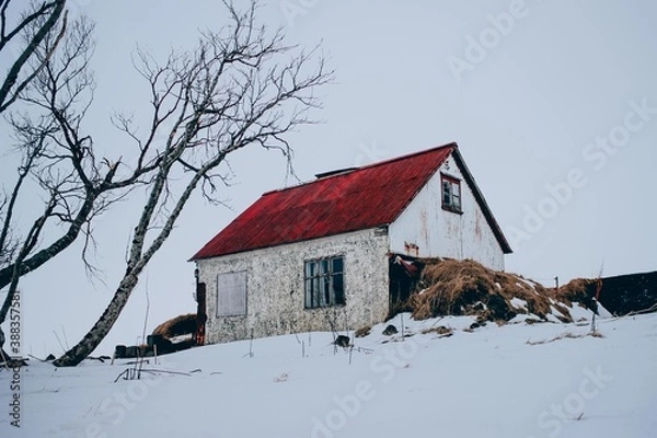 Obraz Iceland House