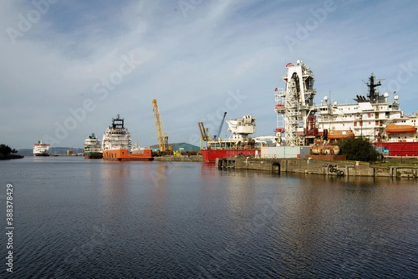 Fototapeta A view looking north along the Albert Dock Basin, Leith, Edinburgh, Scotland, UK.