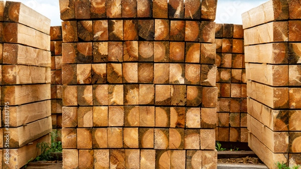 Obraz stack of firewood