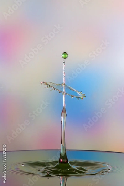 Obraz splash in the water