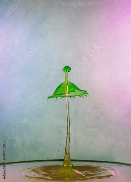 Obraz Lovely in Green