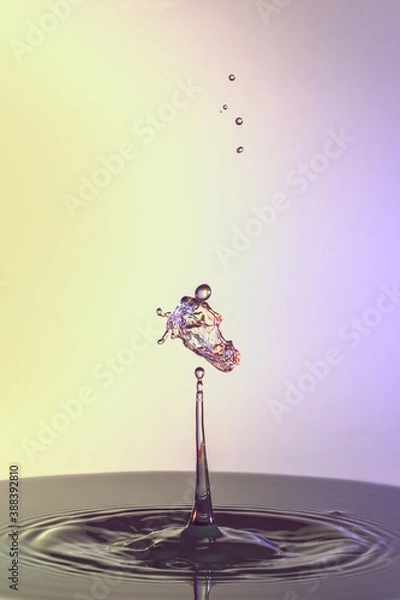 Obraz The Horse Head