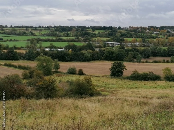 Fototapeta view of the countryside