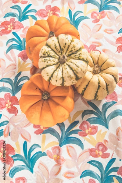Obraz Gourds on the Table