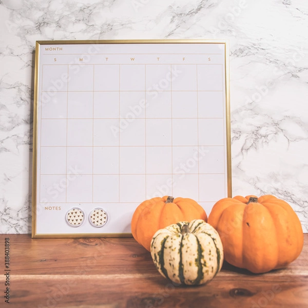 Obraz It's Fall Y'all