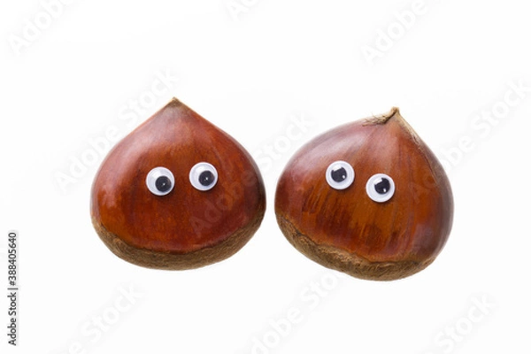Obraz ユーモラスな栗