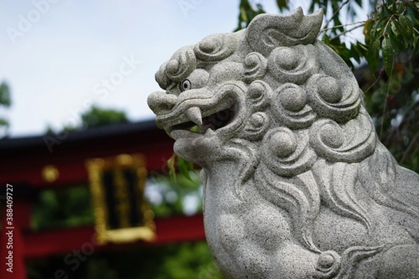 Fototapeta こまいぬ