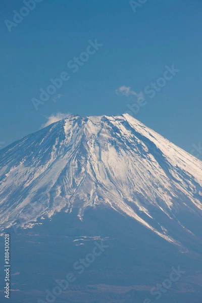 Fototapeta 櫛形山からの富士山