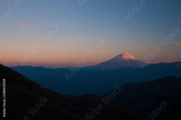 Fototapeta 櫛形山からの夕日に染まる富士山