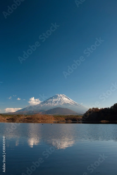 Fototapeta 精進湖からの富士山