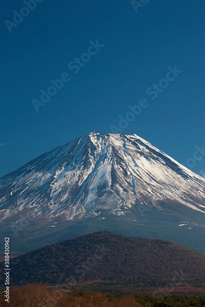 Fototapeta 精進湖からの富士山