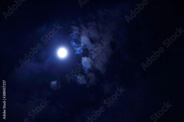 Fototapeta 雲間の月