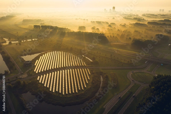 Obraz Solar panel array in Almere, The Netherelands during foggy sunrise, aerial view