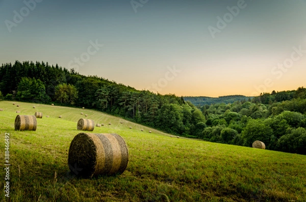 Obraz Massif du Sidobre
