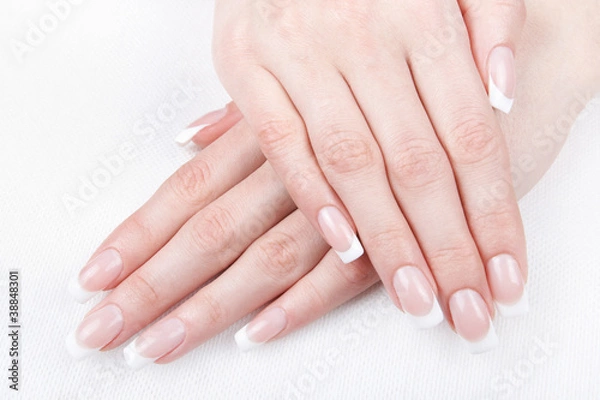 Obraz A professional French manicure