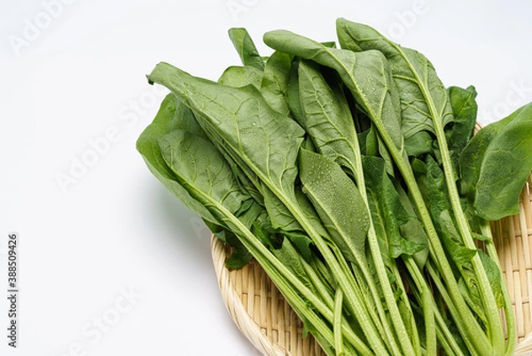 Fototapeta ほうれん草