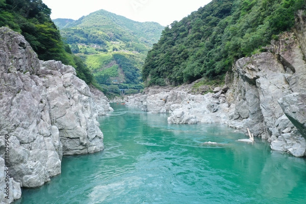 Fototapeta 徳島県三好市　小歩危峡の風景