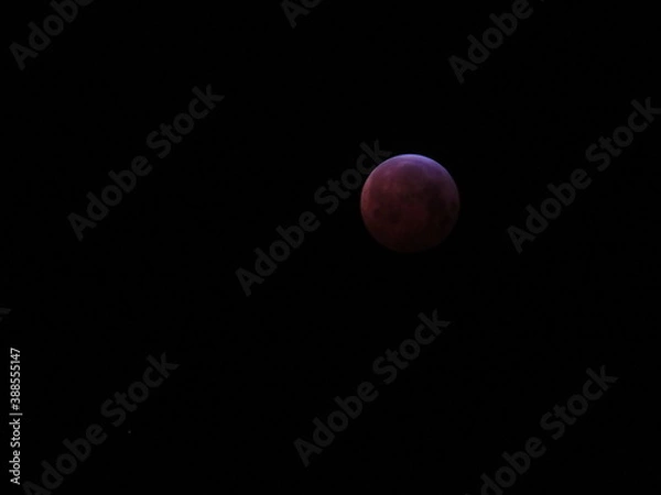 Fototapeta Lunar eclipse 2019 - the blood moon