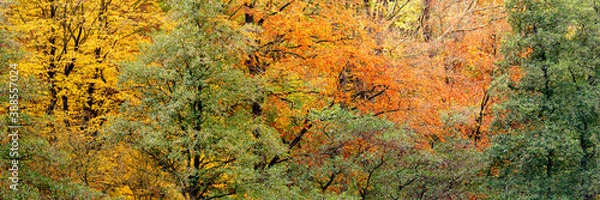 Fototapeta Herbst