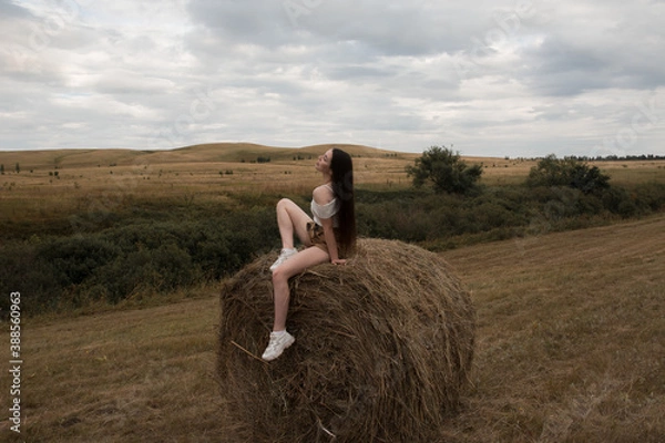 Obraz Young woman in a wheat field. The brunette sits on a haystack.