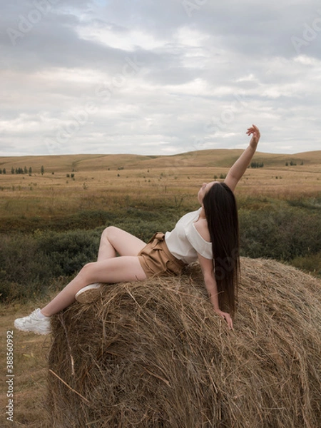 Obraz Young woman in a wheat field. The brunette sits on a haystack.