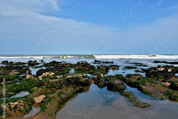 Fototapeta rios de mar 